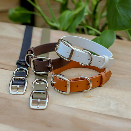 Biothane 1" Classic Buckle Collar