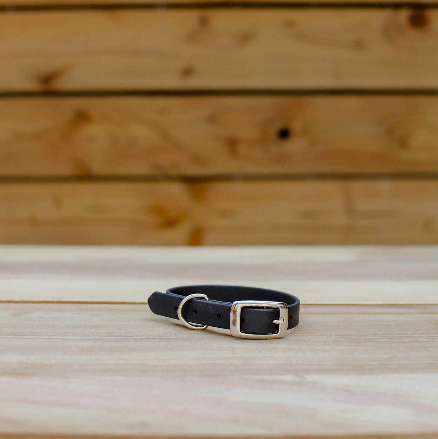 Biothane 5/8" Classic Buckle Collar