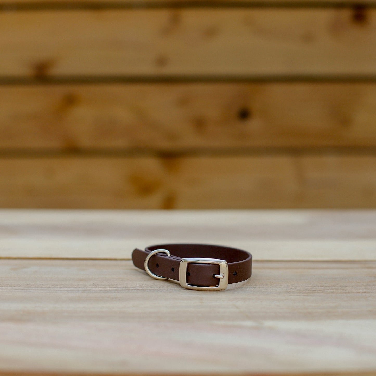 Biothane 5/8" Classic Buckle Collar