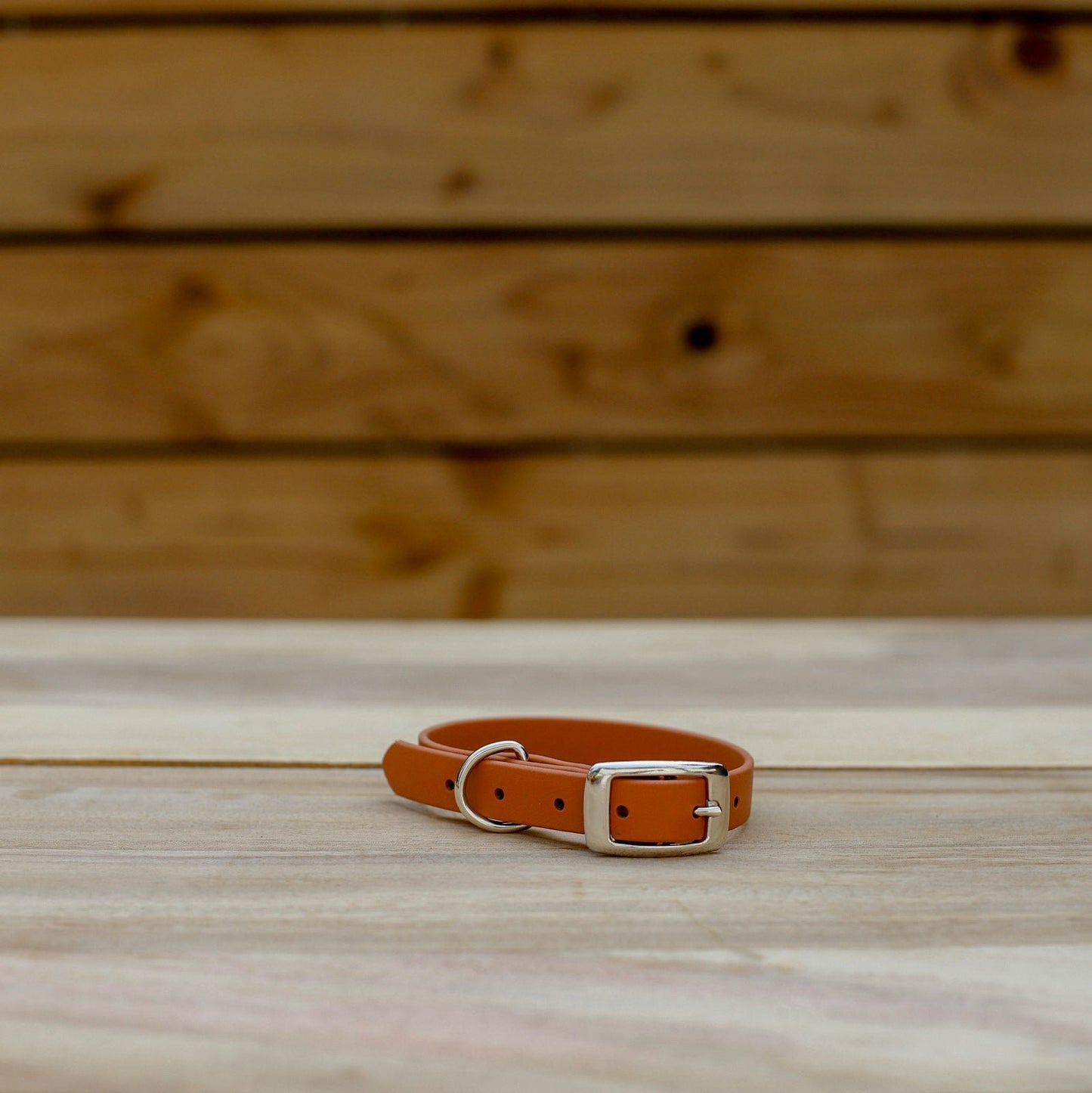 Biothane 5/8" Classic Buckle Collar