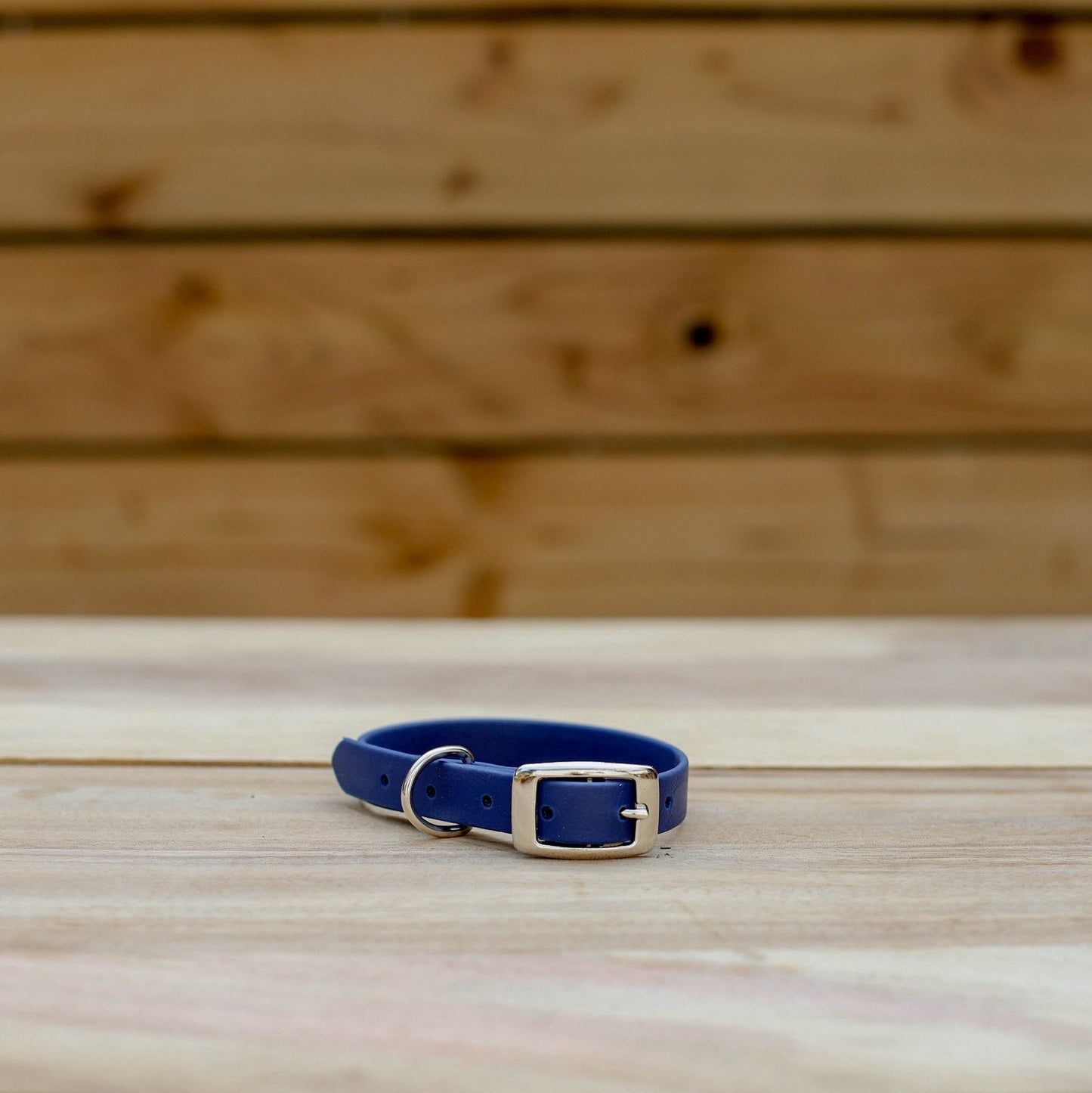 Biothane 5/8" Classic Buckle Collar