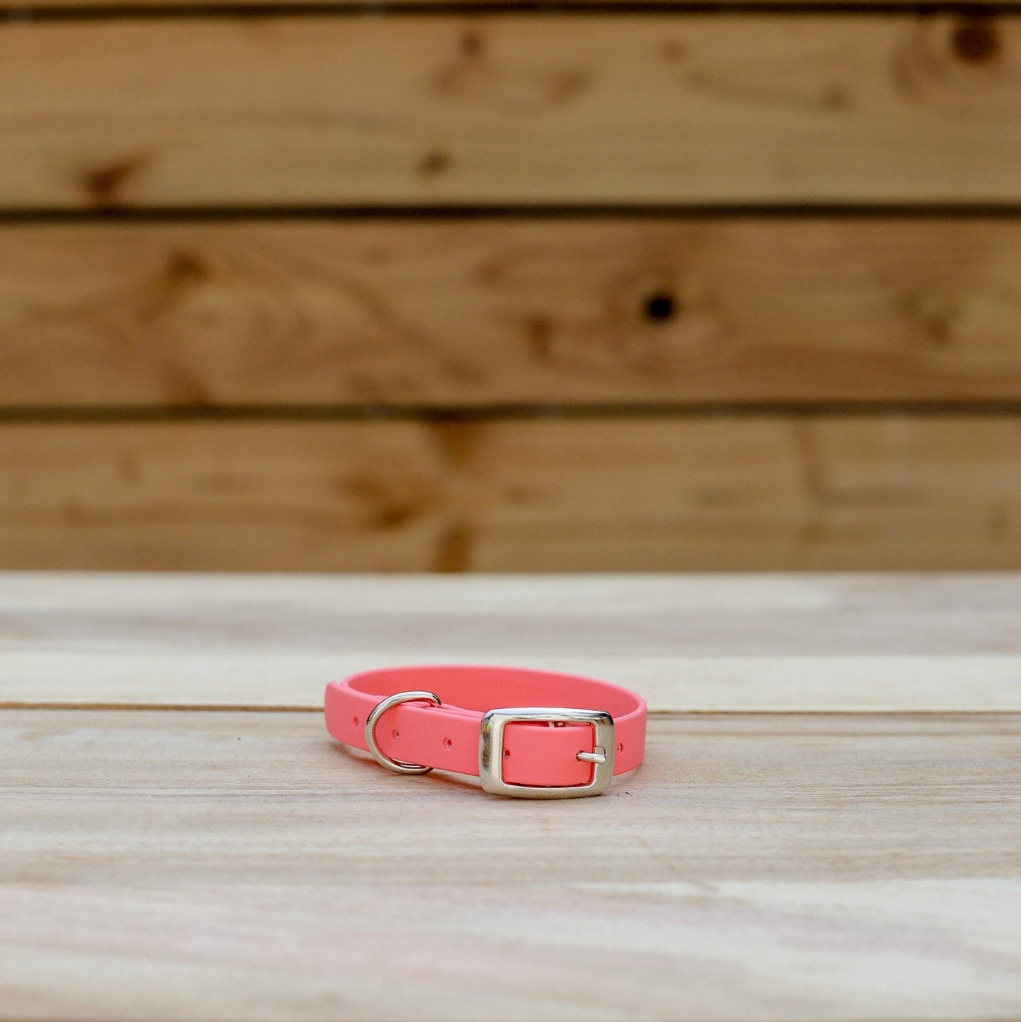 Biothane 5/8" Classic Buckle Collar