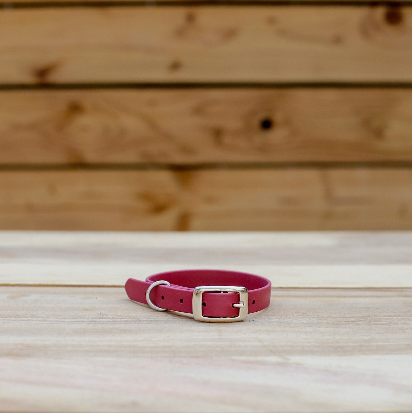 Biothane 5/8" Classic Buckle Collar