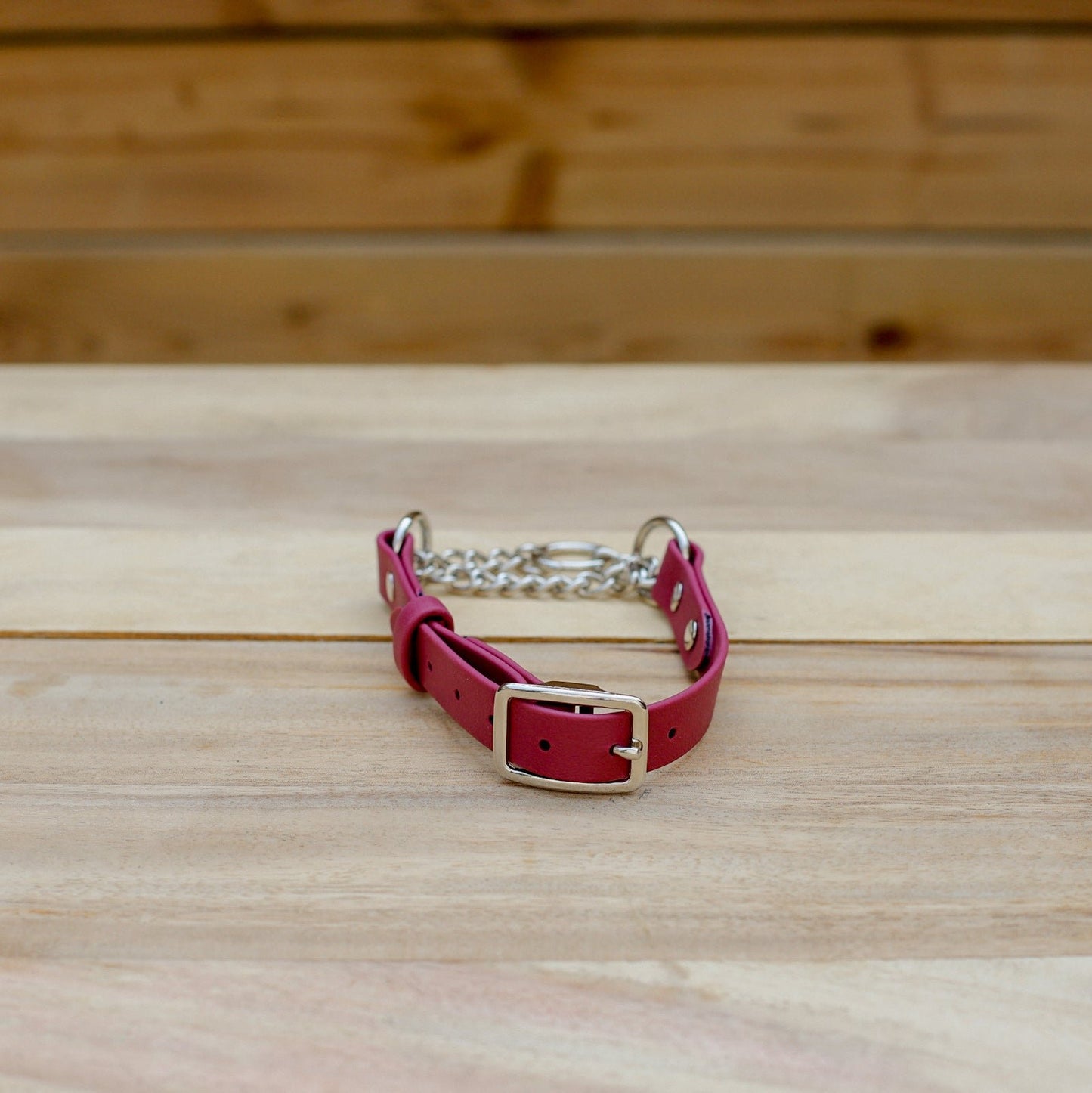 Biothane 3/4" Classic Martingale Collar