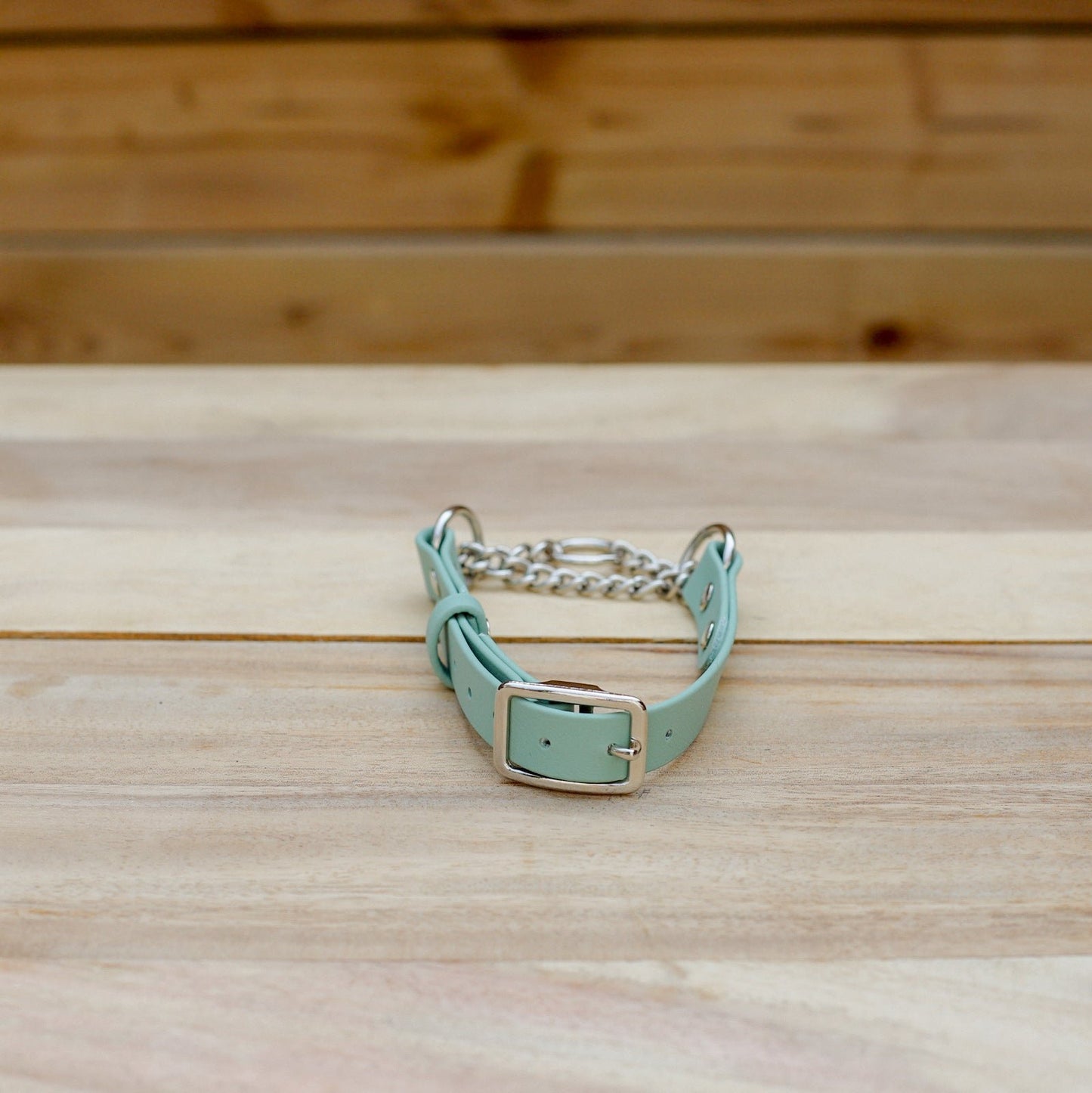 Biothane 3/4" Classic Martingale Collar