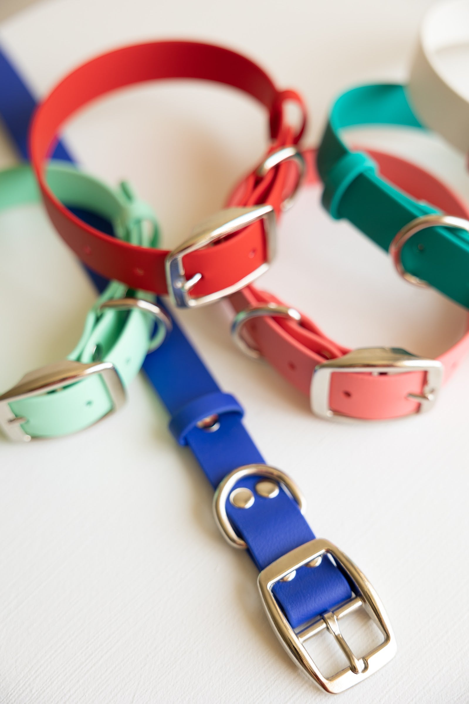 Dog collar hot sale classic